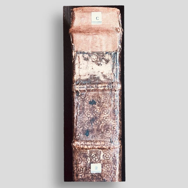 Illuminating Cambridge Libraries Sara Rawlinson Promotional Bookmark Collectible