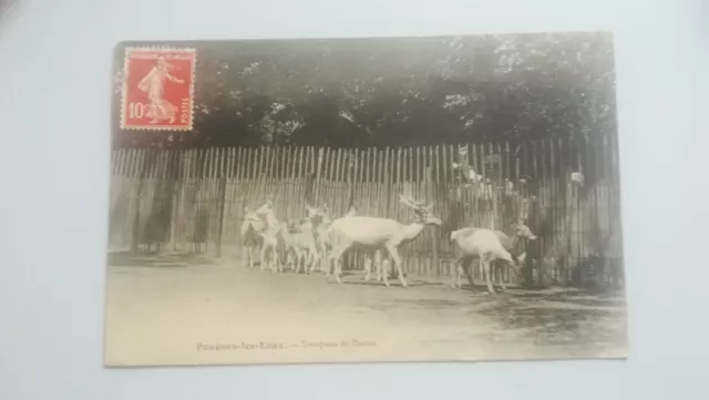 CPA - 58 NEVERS - Pougues-les-Eaux - Troupeau de Daims