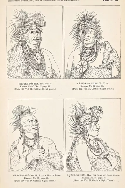 1885 Kansas Indian Chief The Wolf Engraving George Catlin Native American
