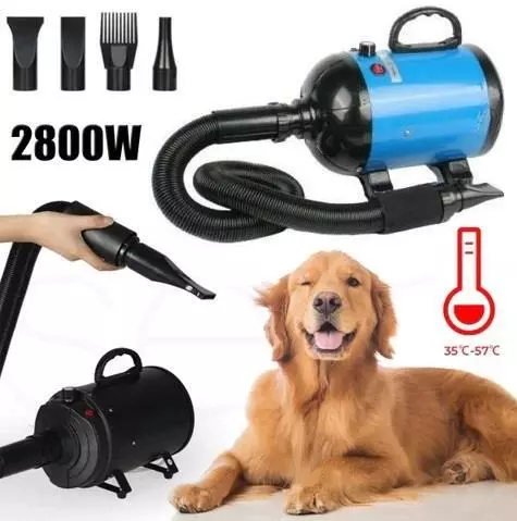 Pet Dog Cat Hair Dryer 2800W Grooming Blow Speed Hairdryer Blower Heater Blue