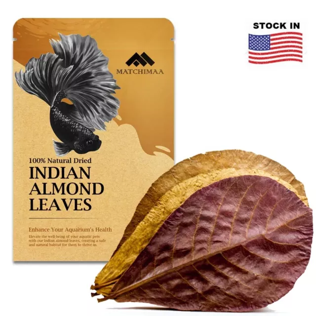 MATCHIMAA Dried Indian Almond Leaves For Aquarium Betta Fish Shrimp Catappa 50g.