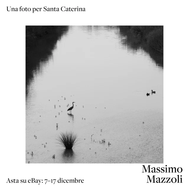 Airone sul Misa, M. MAZZOLI per S.Caterina
