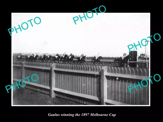 Old Large Historic Horse Racing Photo Of Gaulus 1897 Melbourne Cup Win