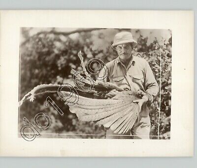 ODD INTRIGUING Wildlife Expeditioner Holding LARGE BIRD 1934 PRESS PHOTO