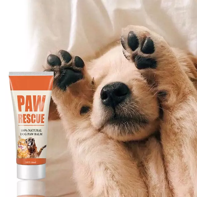 Crème de patte de chien Baume de patte de chien réparateur hydratant naturel po