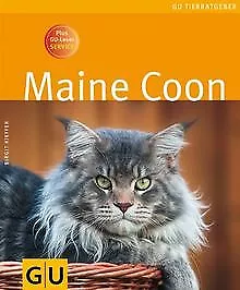 Maine Coon (Tierratgeber) von Kieffer, Birgit | Buch | Zustand gut