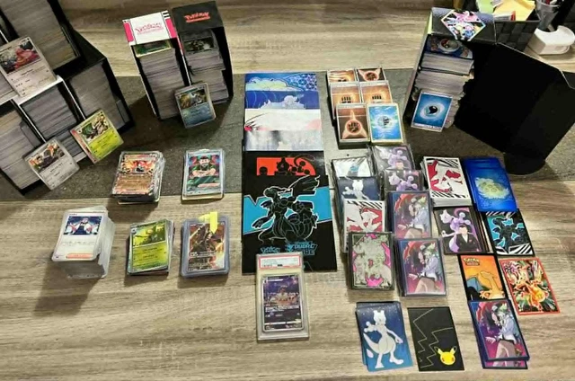 Gros lot Pet shop vintage et plus récent - Jeux & Jouets