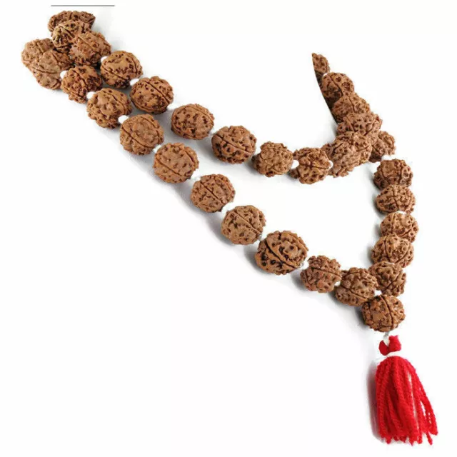 5 Five Mukhi Rudraksha Mala Surya Agni Siddha Mala 108+1 Collector Japa Beads