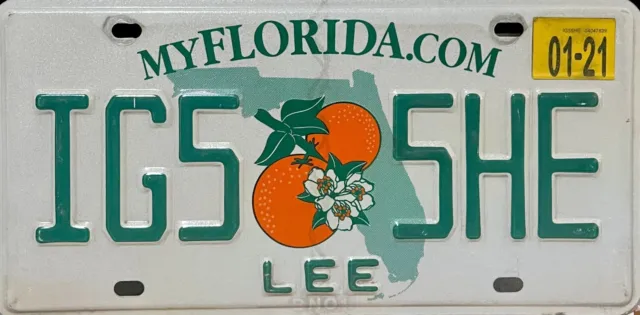 USA Number Licence Plate FLORIDA