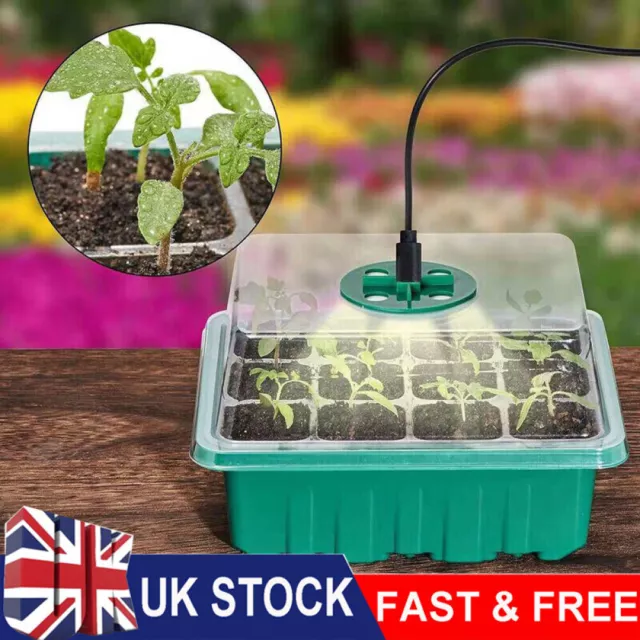 Tray, 5pcs Reusable Seed Starter Kit, Silicone Seedling Starter Trays for  Starting Plant Seeds - Plants, Seeds & Bulbs, Facebook Marketplace