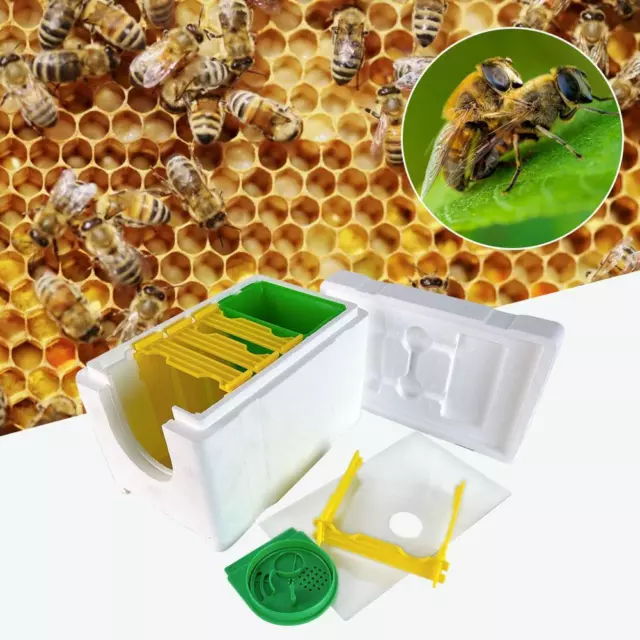 Bee Mating Nuc Hive Queen Bee Breeding Box High Density Foam Box Beekeeping D2