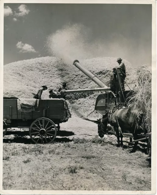 Near DALLAS c. 1950 - Farming CASE Engine Texas - USA 164