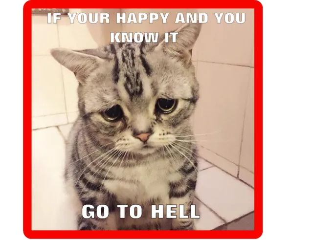 Funny Grey Cat Go To Hell Refrigerator Tool Box Magnet Gift Card Insert