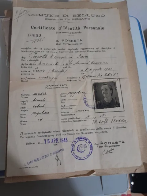 Lavis Trento Documento Con Foto Identita Personale