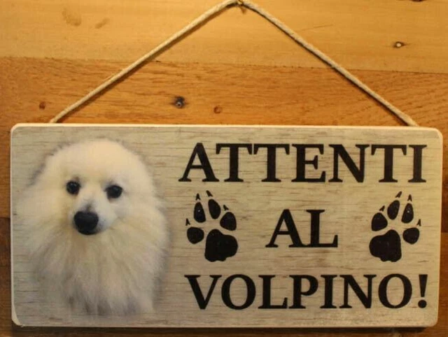 CARTELLO TARGA USCITA Di Sicurezza Lasciare Libero Segnaletica Pvc 20 X