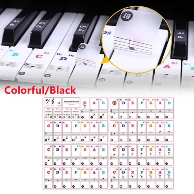 Guide des notes de piano Étiquette amovible pour notes d'apprentissage pour  88 touches de taille réelle, fabriquée en silicone mieux que les  autocollants -  France