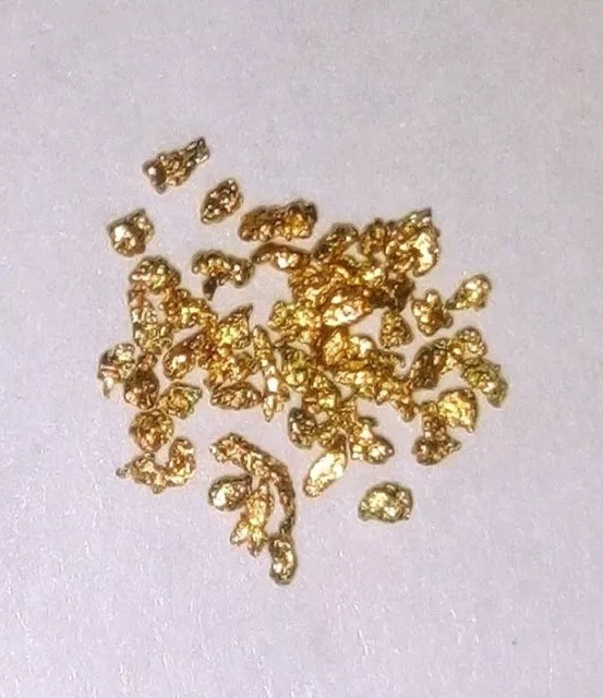 Gold Panning Paydirt Bag