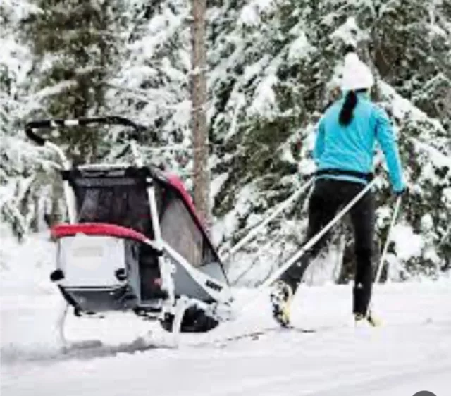 Thule / Chariot Cross-Country Skiing Kit