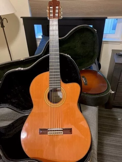 Pavan TP-20AC classical guitar