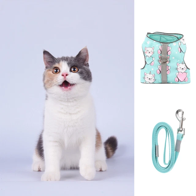 Gilet luminoso cane da passeggio a prova di fuga guinzaglio animale domestico imbracatura gatto esterno