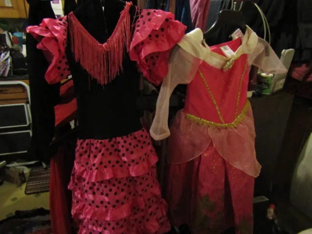 Dresses Dressing Up Bundle (age 4-6 years)