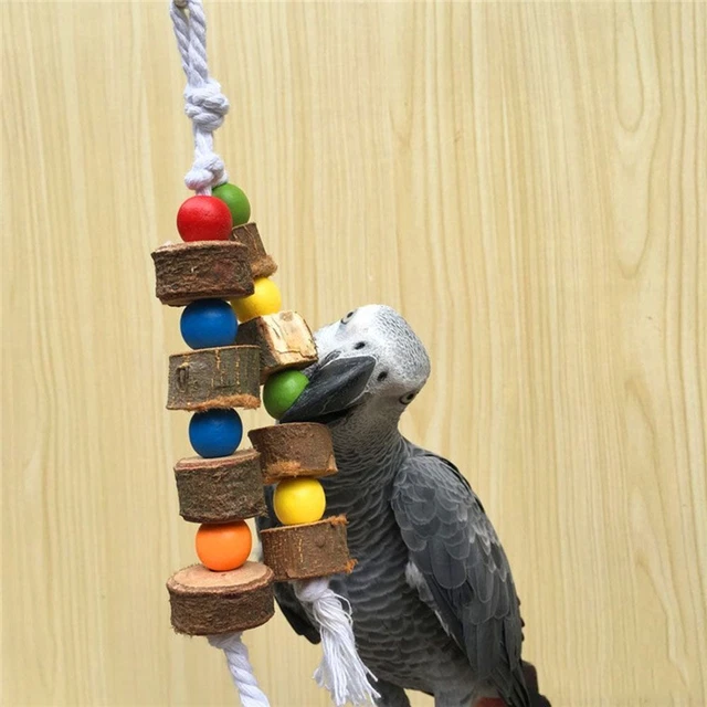 Support de chaîne de balançoire Perroquet Jouet Fournitures pour oiseaux