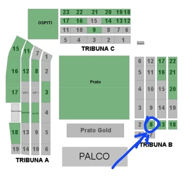 2 biglietti concerto TIZIANO FERRO - Stadio SAN FILIPPO (Messina)