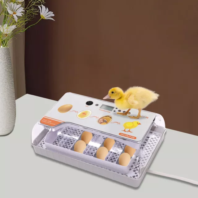 Egg Incubator Hatching Machine Breeder Professional Chicken Eggs Hatcher 20 Eggs