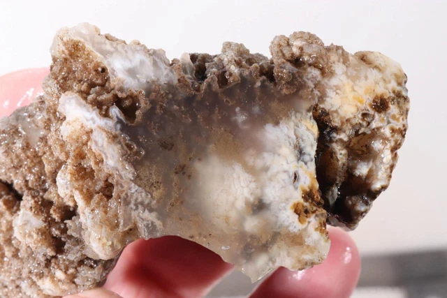 Estate Angelwing Plume Agate lapidary 4.3 oz. faced rough