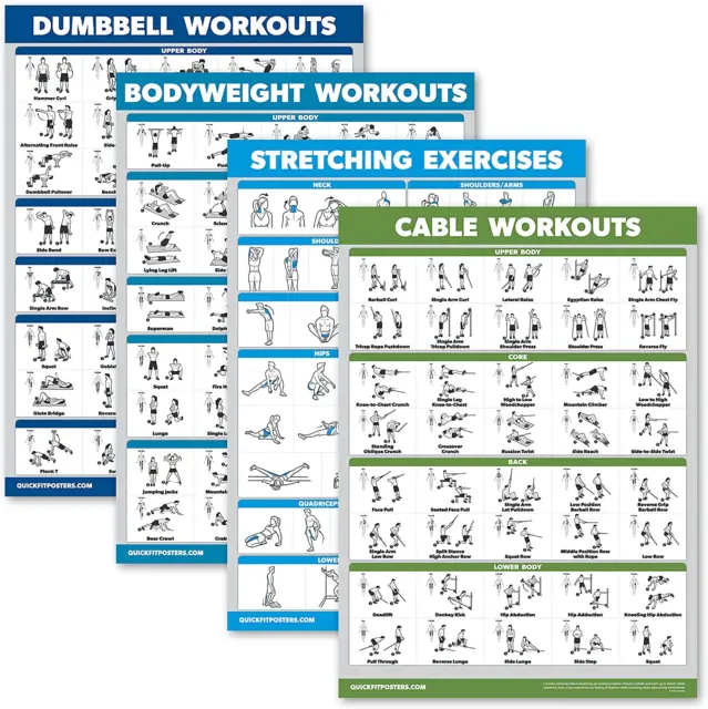 Palace Learning 4 Pack - Dumbbell Workouts + Bodyweight Exercises + Stretching E