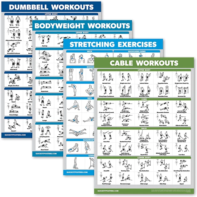 Palace Learning 4 Pack - Dumbbell Workouts + Bodyweight Exercises + Stretching E