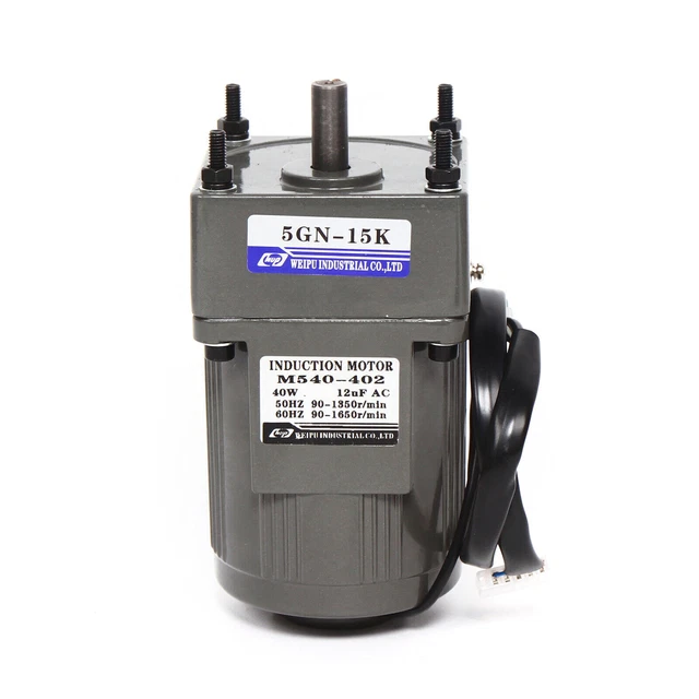 Motoriduttore e regolatore di velocità, 220 V, bassa velocità di rotazione ad alta coppia AC riduttore con regolatore di velocità per linea di produzione (6 W 90 K
