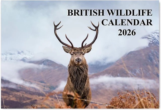 BRITISH WILDLIFE CALENDAR 2026 12 Month to View A4 Wall Calendar 2026 ...