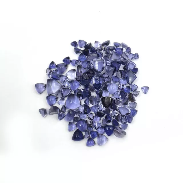 Naturel Iolite Trillion Cabochon Desseré Gemme Lot 100 Pièces 3.50-7 MM 25 CT 2