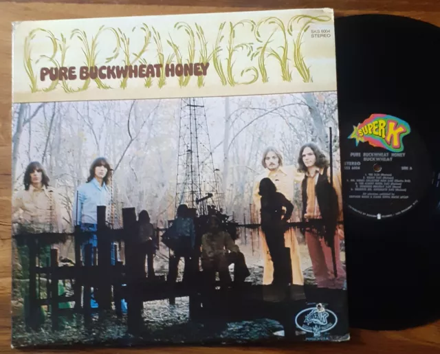 Orig. 1969 LP BUCKWHEAT Pure .. Psych South Rock Press USA RARE VG+ VG++