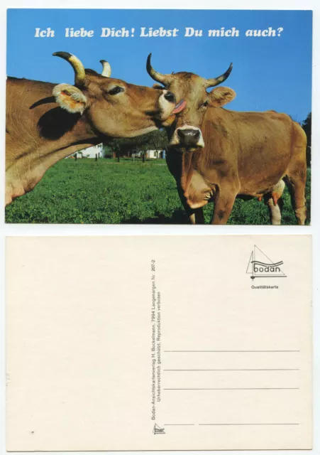 16903 - Two Cows - I Love You, Do You Love Me Too? - Old postcard