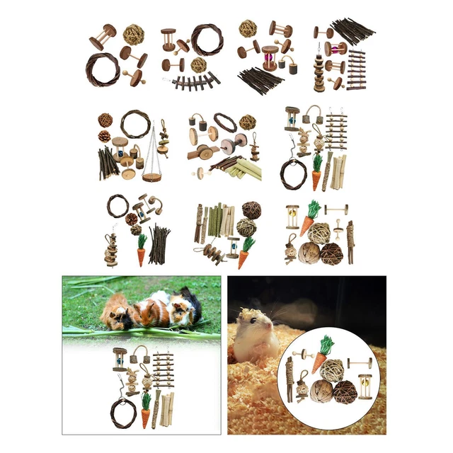 Meerschweinchen-Spielzeug, Häschen-Spielzeug, Chinchilla-Snack-Spielzeug,