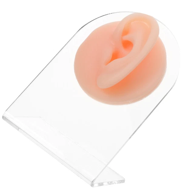 1 juego de modelo de oreja artificial, forma de perforación de oreja, modelo de oreja humana,