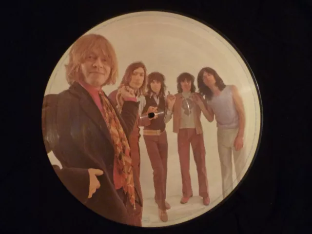 LP VG+ The Rolling Stones Picture Disc Decca ‎– 30010
