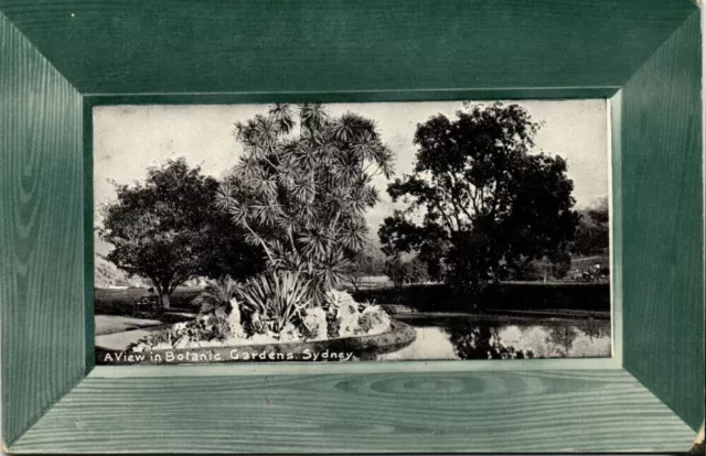australia, NSW, SYDNEY, View in Botanic Gardens (1910s) HB Series Postcard