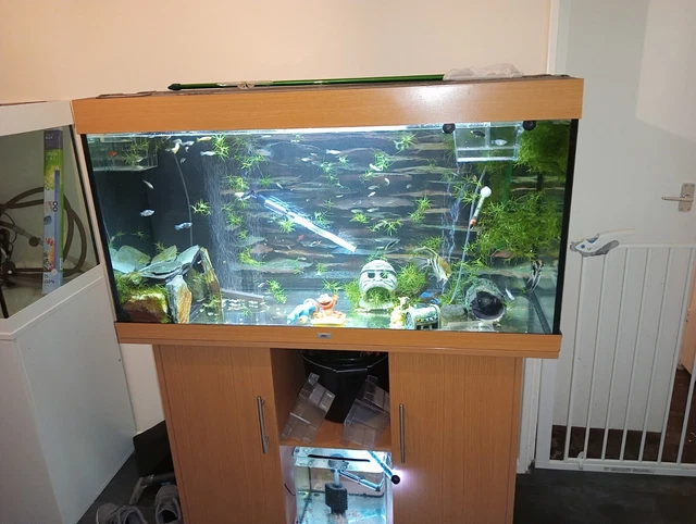 Fish Tank Juwel