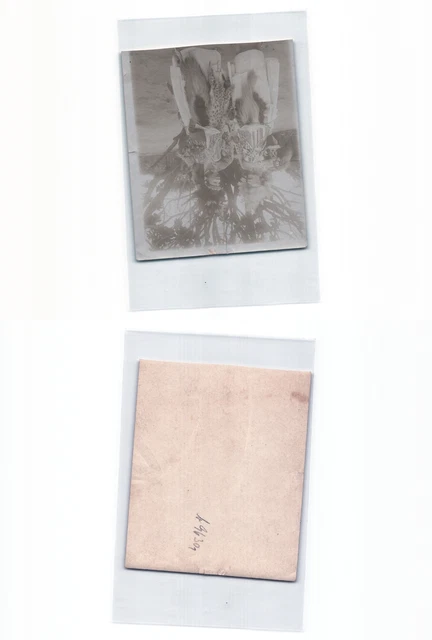 (b96301)   Deutschostafrika Foto Eingeborene Frauen, Nachlass von Rudolf Wo