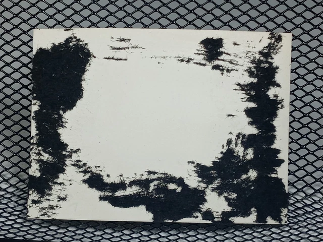 c.1930's Rabbit Man Native Friends Mountain Cabin Trees Small Vtg Photo 1940's 2