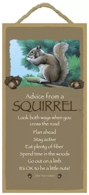 ADVICE FROM A SQUIRREL Primitive Wood Hanging Sign 5" x 10"