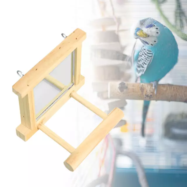Miroirs à oiseaux en bois, miroir à perruches pour conures, aras gris