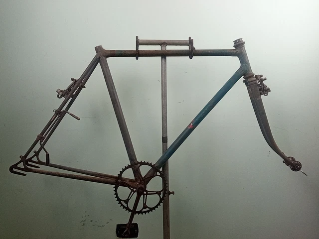 Solari, cadre BaCo équipé full Campagnolo