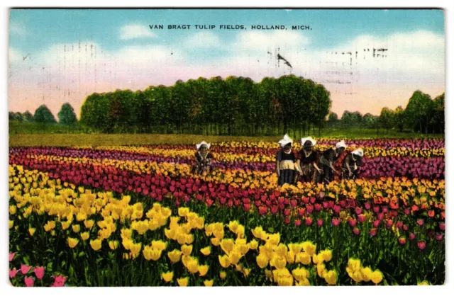 Van Bragt Tulip Fields Holland Michigan MI Children in Field Picking Postcard
