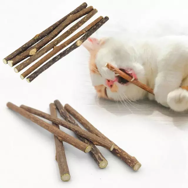 5 X Natural Matatabi Silvervine Dental Cat Sticks Catnip Chew Toy Teeth Cle Z8U2