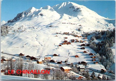 CPA/DEP 74/GRAND BORNAND LE VILLAGE 