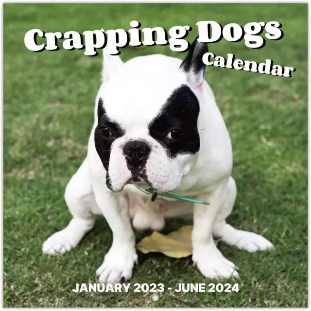 20232024 WALL CALENDAR 18 Monthly Calendar 20232024 with Thick Paper